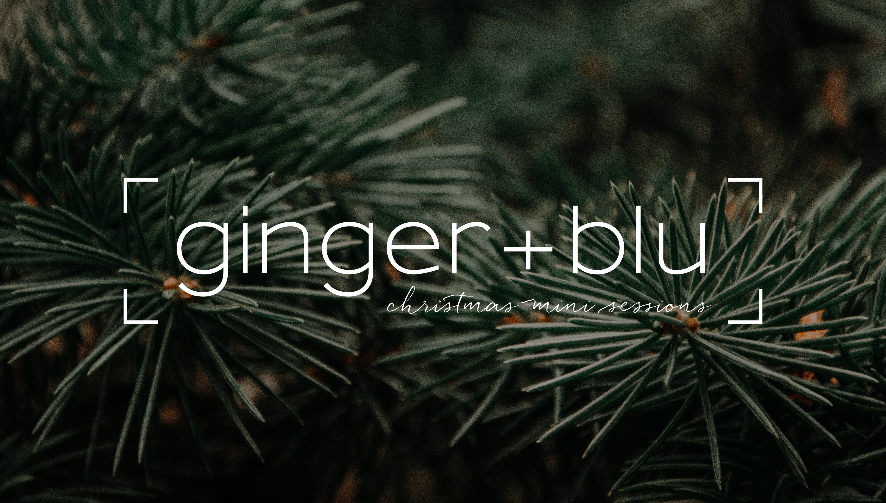 ginger-blu-christmas-mini-sessions-main-header-blog